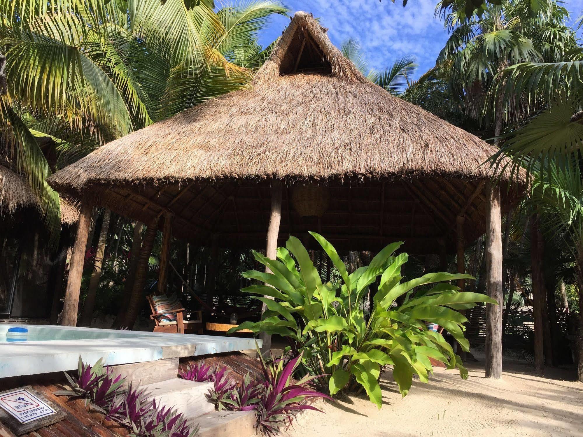 Manglex Eco Hotel ตูลุม ภายนอก รูปภาพ