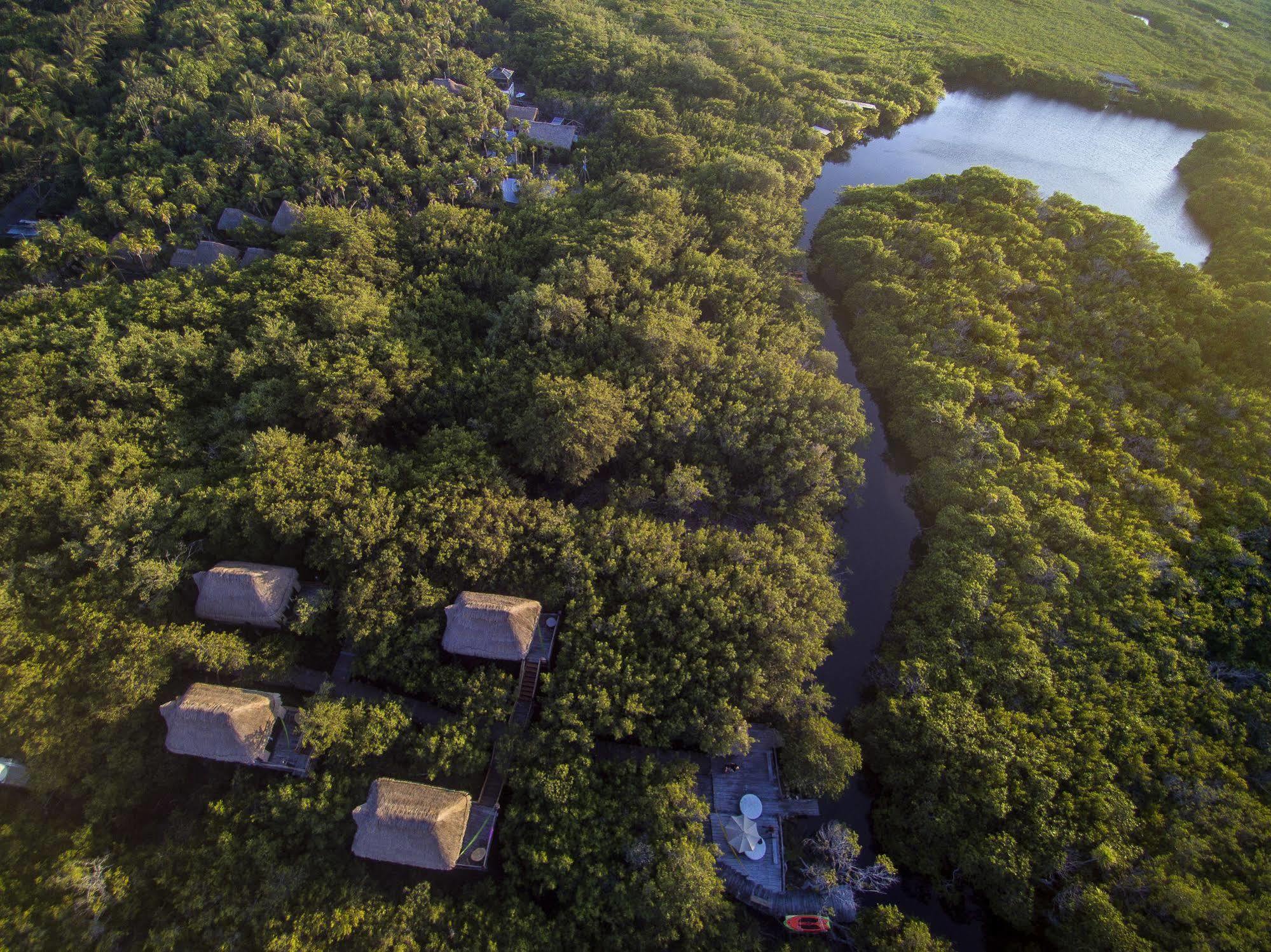 Manglex Eco Hotel ตูลุม ภายนอก รูปภาพ