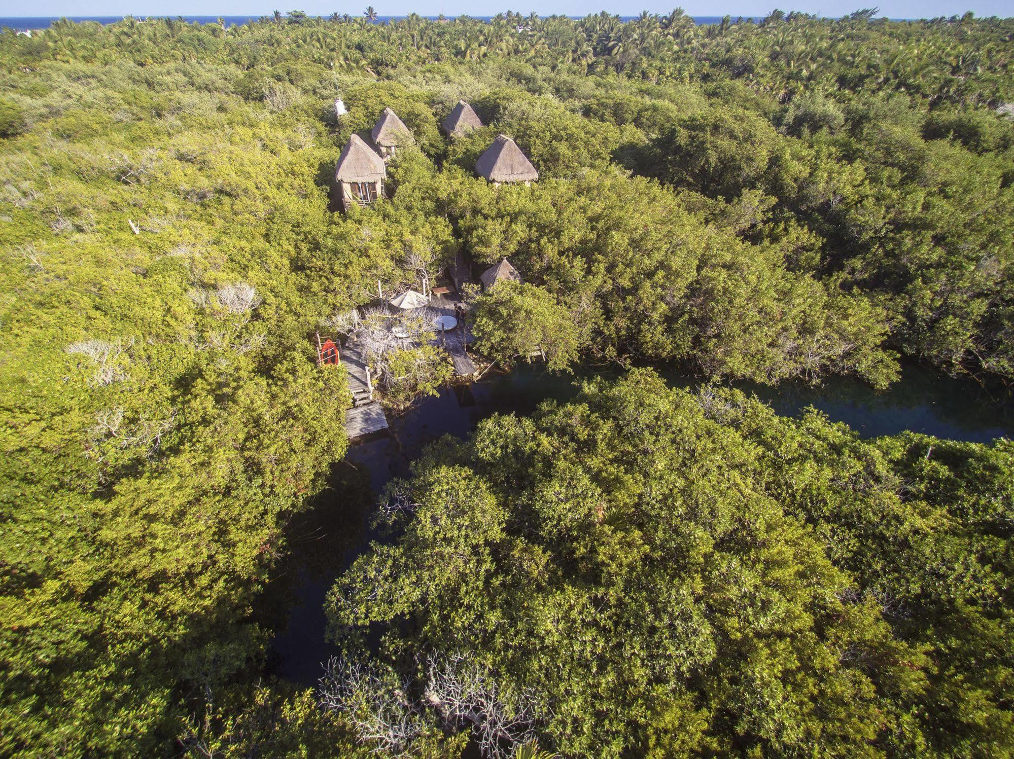 Manglex Eco Hotel ตูลุม ภายนอก รูปภาพ